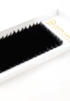 0.07MM FAST FANNING LASHES 16 ROWS - Zesty Lashes